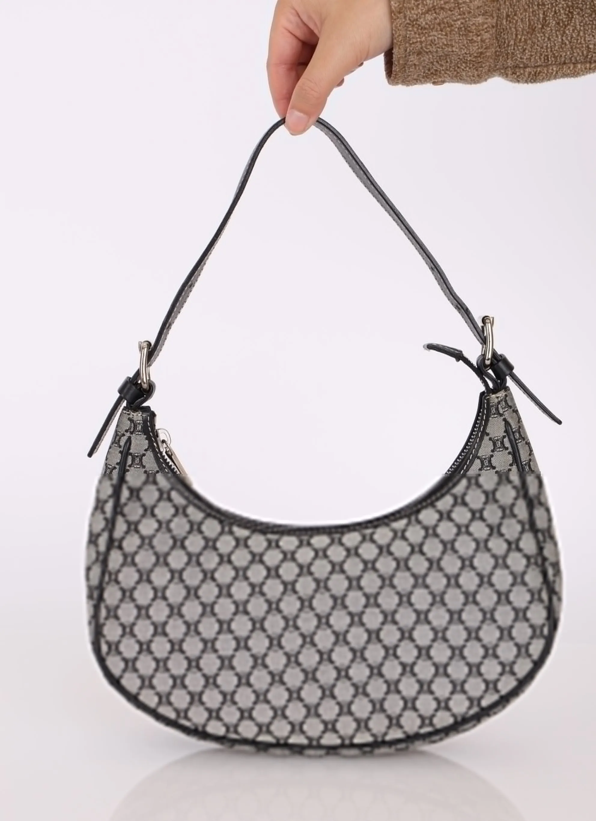 Celine Triomphe Canvas Ava Hobo