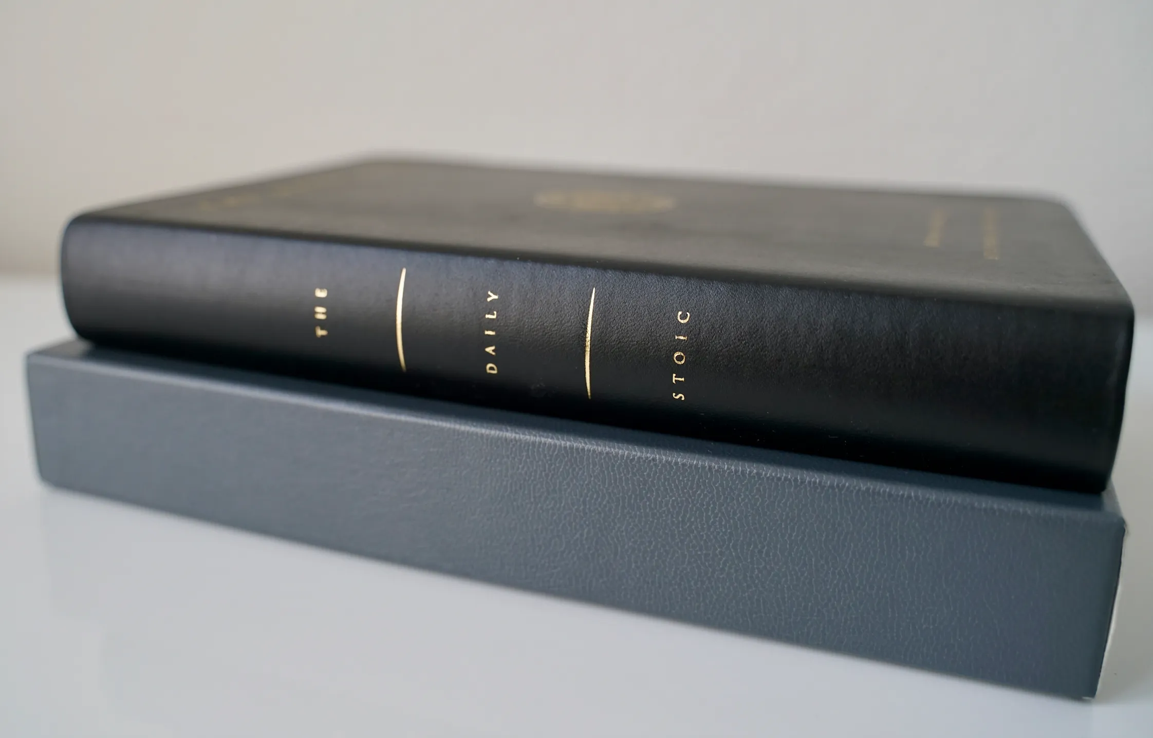 The Daily Stoic (Premium Leather Edition Book)